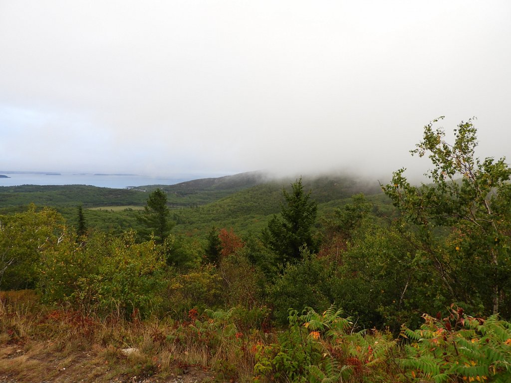 On Cadillac Mountain