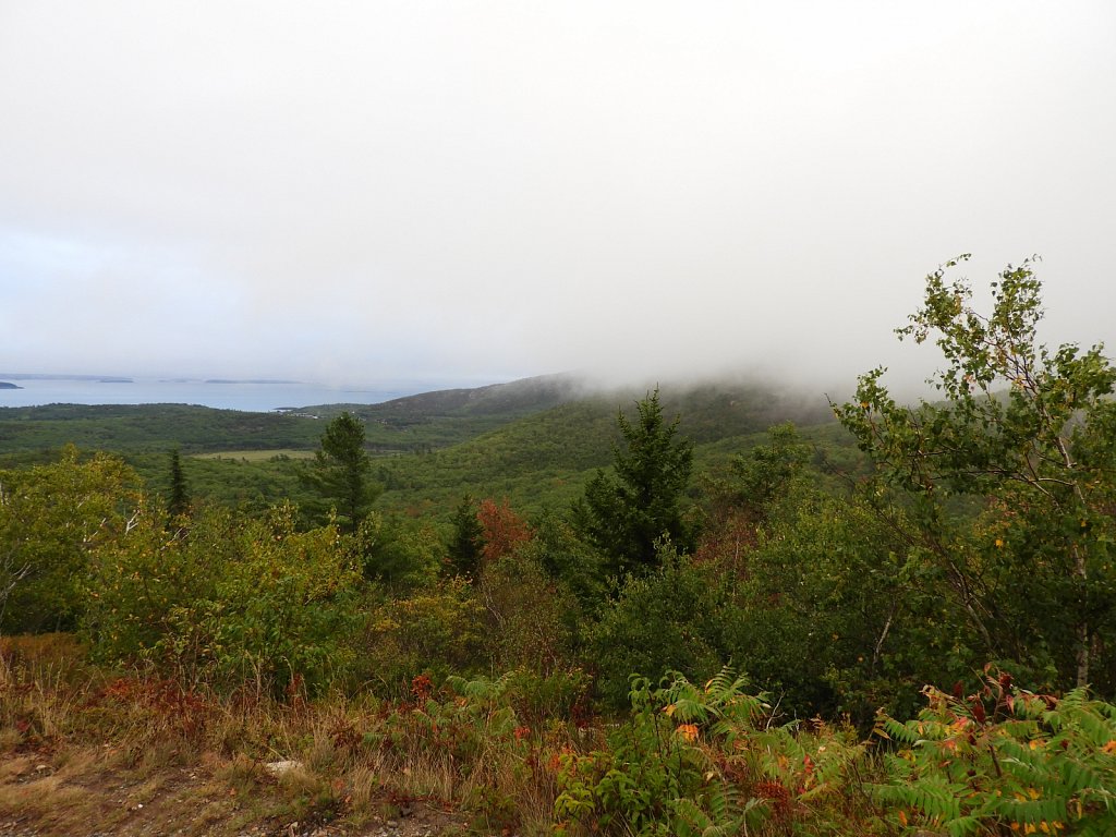 On Cadillac Mountain