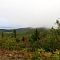 On Cadillac Mountain