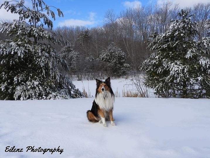 Charlie Snow Shoot